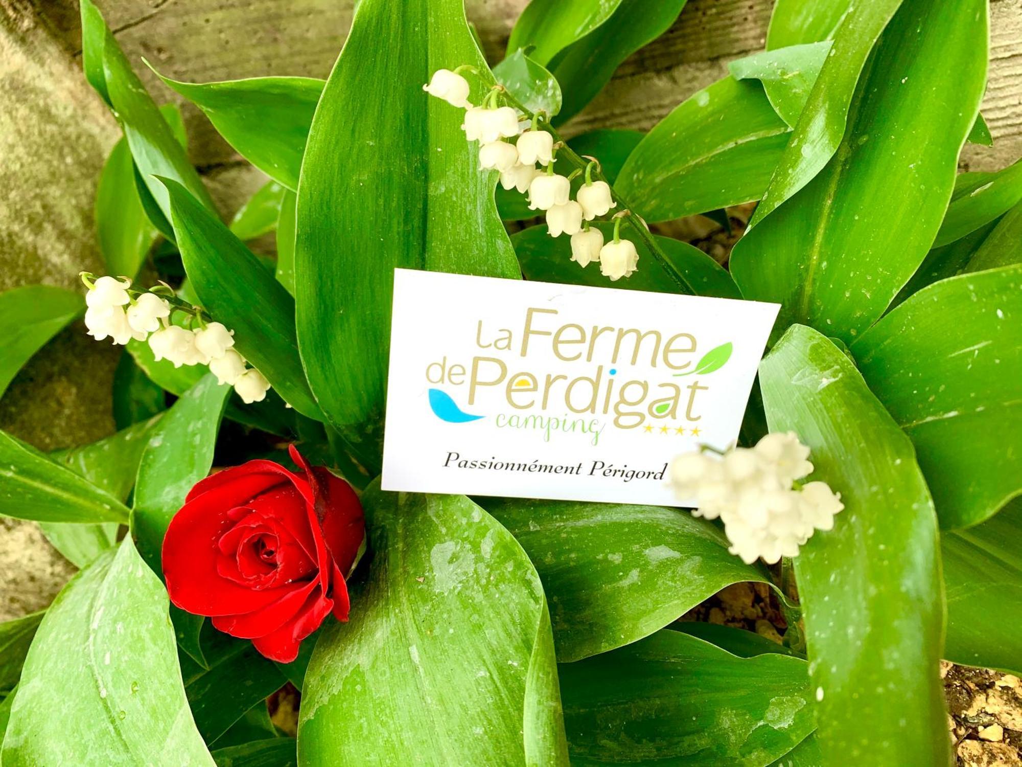 La Ferme De Perdigat Camping