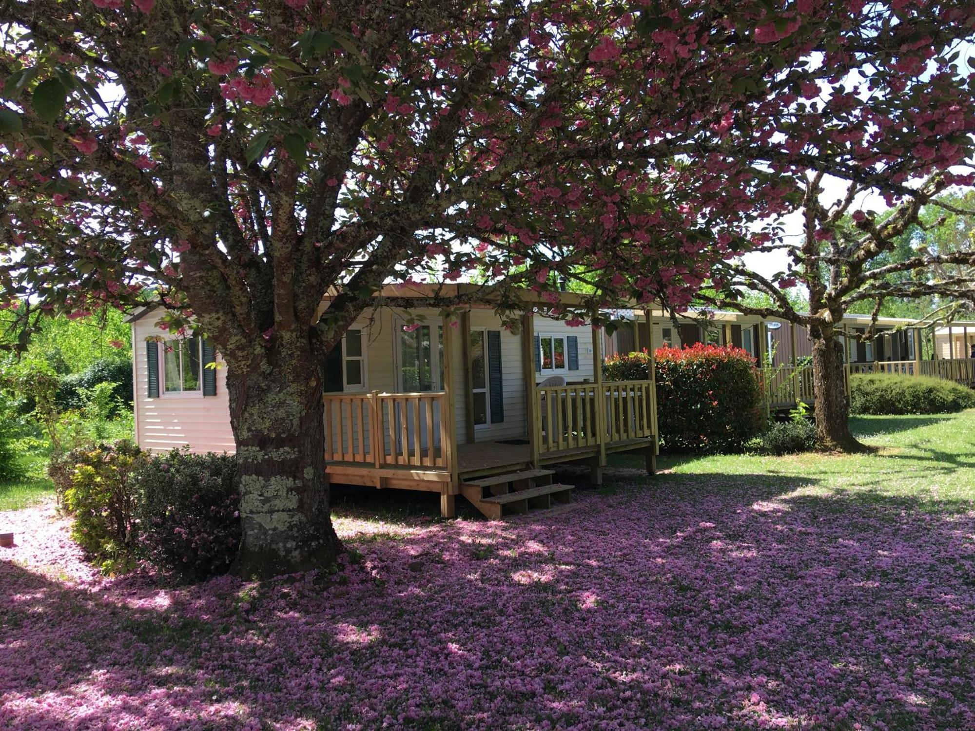 La Ferme De Perdigat 4* Limeuil